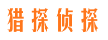 卢湾市侦探公司